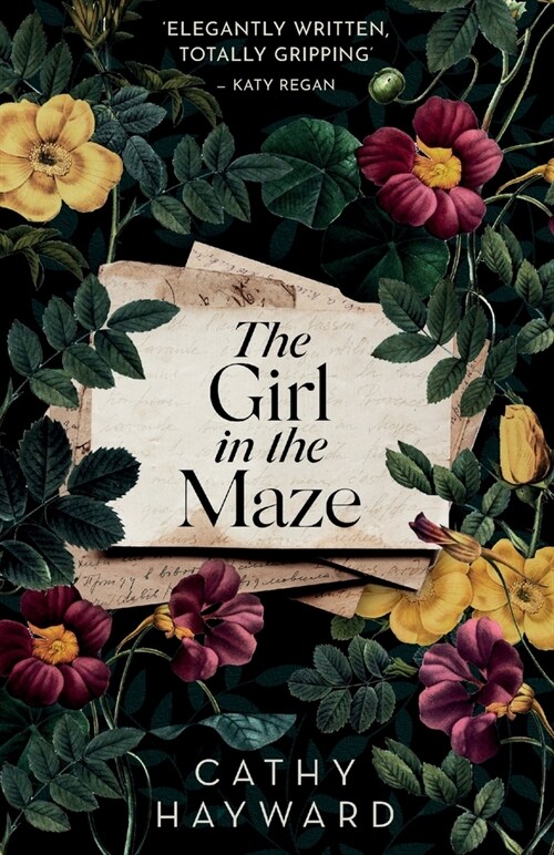 The Girl in the Maze: Brimming with family secrets, lies, and unforgettable characters (Paperback)