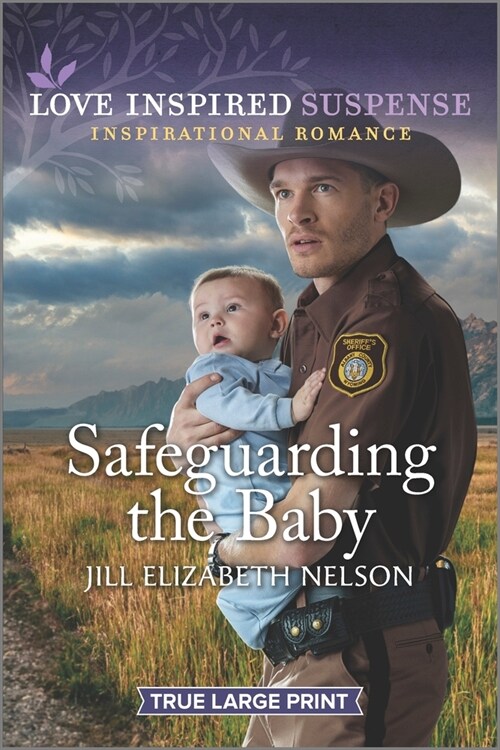 Safeguarding the Baby (Paperback)
