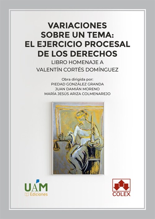 VARIACIONES SOBRE UN TEMA EL EJERCICIO PROCESAL DE LOS DERE (Paperback)