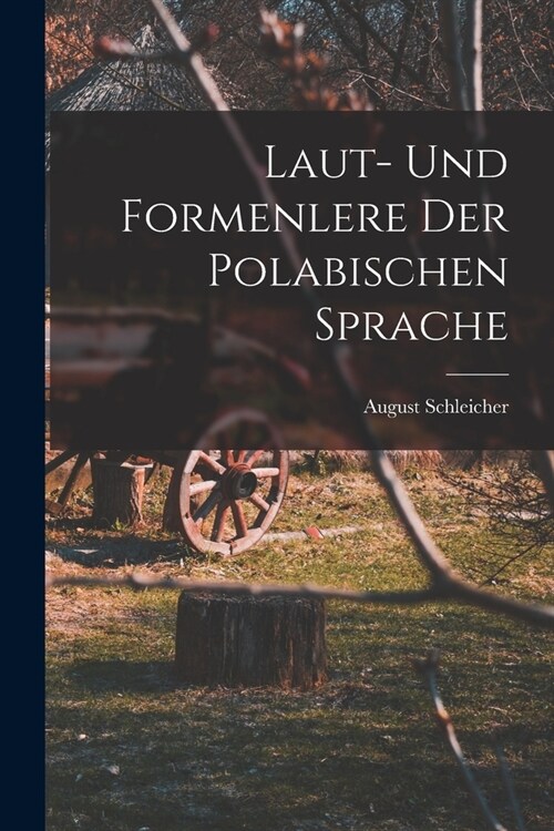 Laut- Und Formenlere der Polabischen Sprache (Paperback)