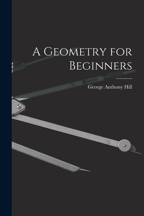 A Geometry for Beginners (Paperback)