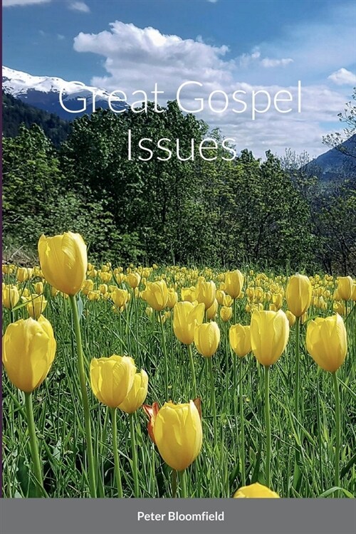 Great Gospel Issues (Paperback)