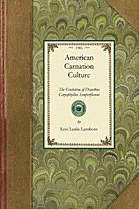 American Carnation Culture (Paperback)