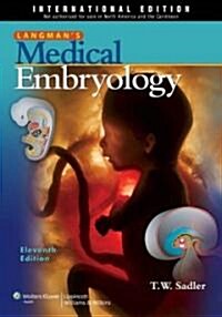 [중고] Langman‘s Medical Embryology (Paperback, 11th, International)