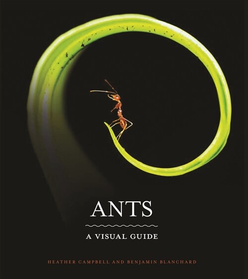 Ants: A Visual Guide (E-book)