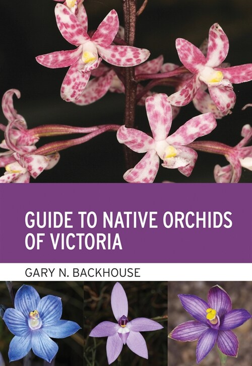 Guide to Native Orchids of Victoria (Paperback)