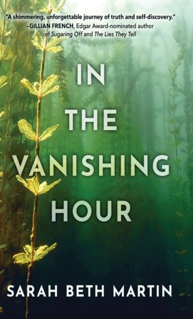 In the Vanishing Hour (Hardcover)