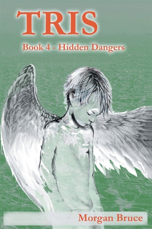 Tris 4: Hidden Dangers (Paperback)