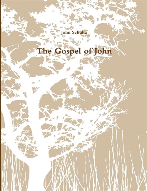 The Gospel of John (Paperback)