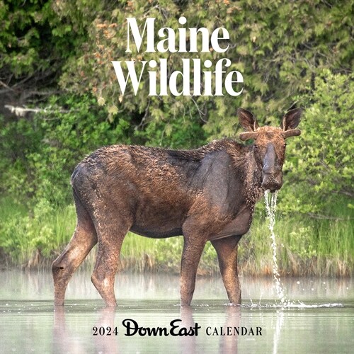 2024 Maine Wildlife Wall Calendar (Wall)