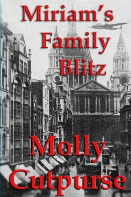 Miriams Family Blitz (Paperback)