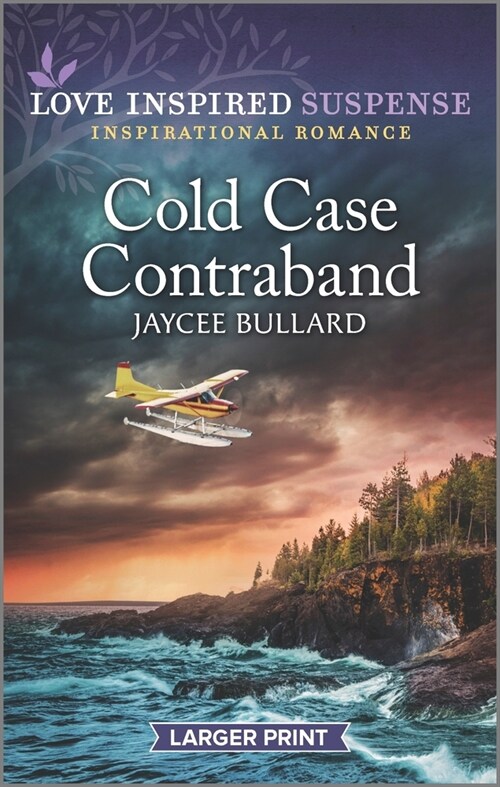 Cold Case Contraband (Mass Market Paperback, Original)