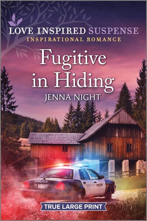 Fugitive in Hiding (Paperback)