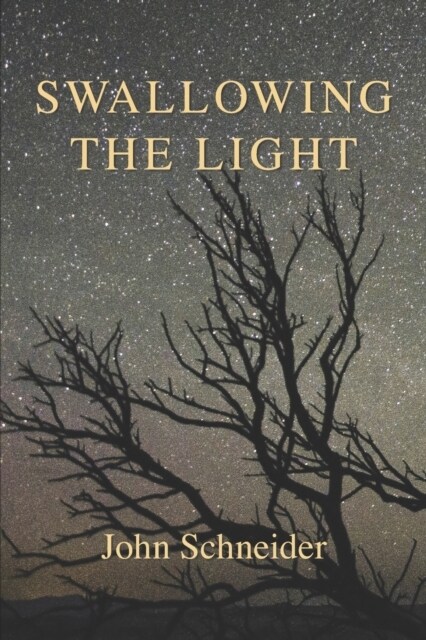 Swallowing the Light (Paperback)