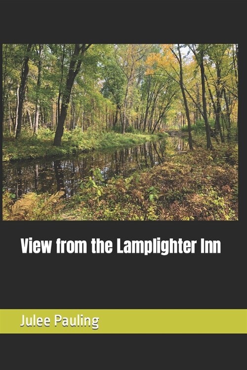 View from the Lamplighter Inn (Paperback)