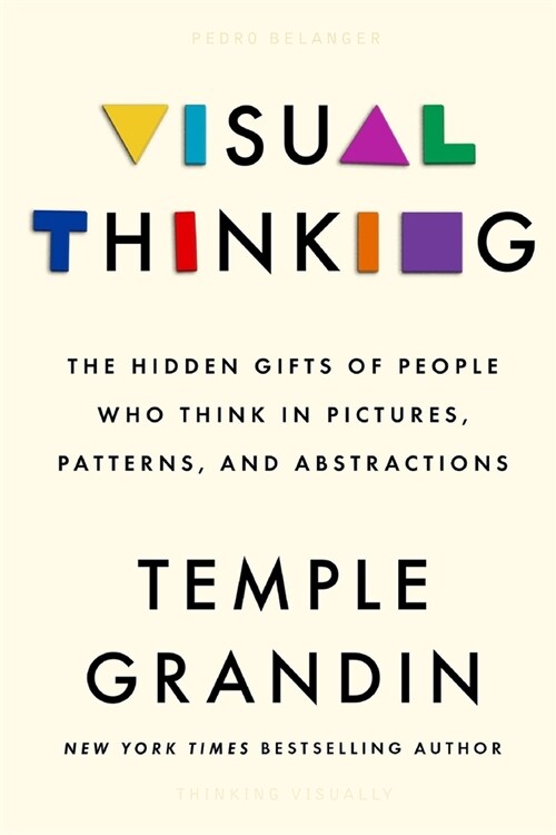 Thinking Visually (Paperback)