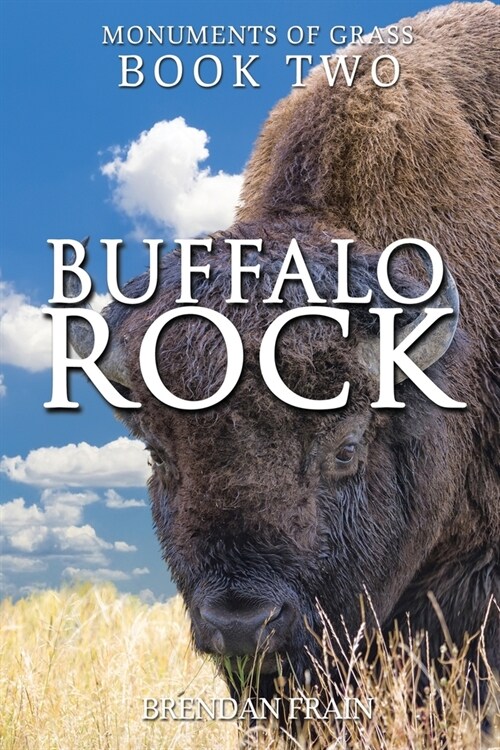 Buffalo Rock (Paperback)