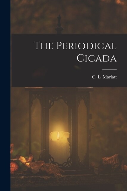 The Periodical Cicada (Paperback)