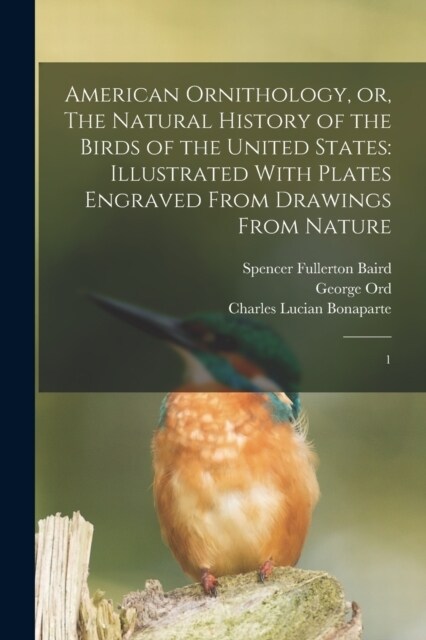American Ornithology, or, The Natural History of the Birds of the United States: Illustrated With Plates Engraved From Drawings From Nature: 1 (Paperback)