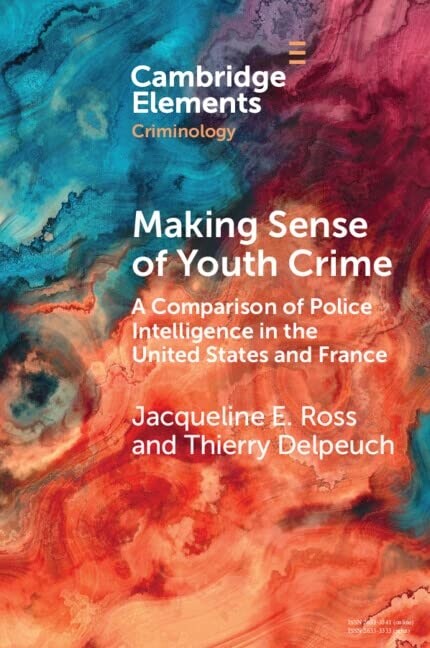 Making Sense of Youth Crime : A Comparison of Police Intelligence in the United States and France (Paperback)