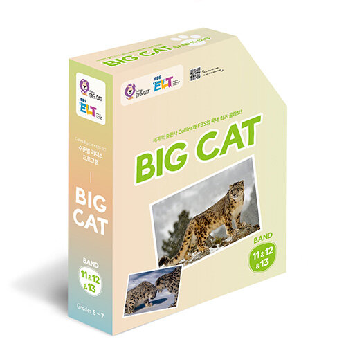EBS ELT Big Cat Band 11&12&13 Full Package