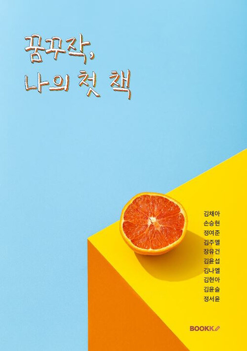 꿈꾸작, 나의 첫 책