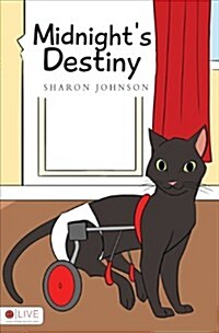 Midnights Destiny (Paperback)