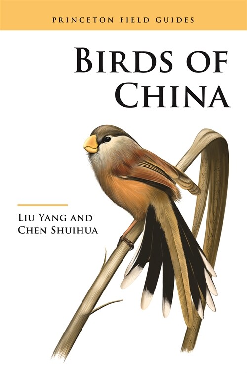 Birds of China (Paperback)