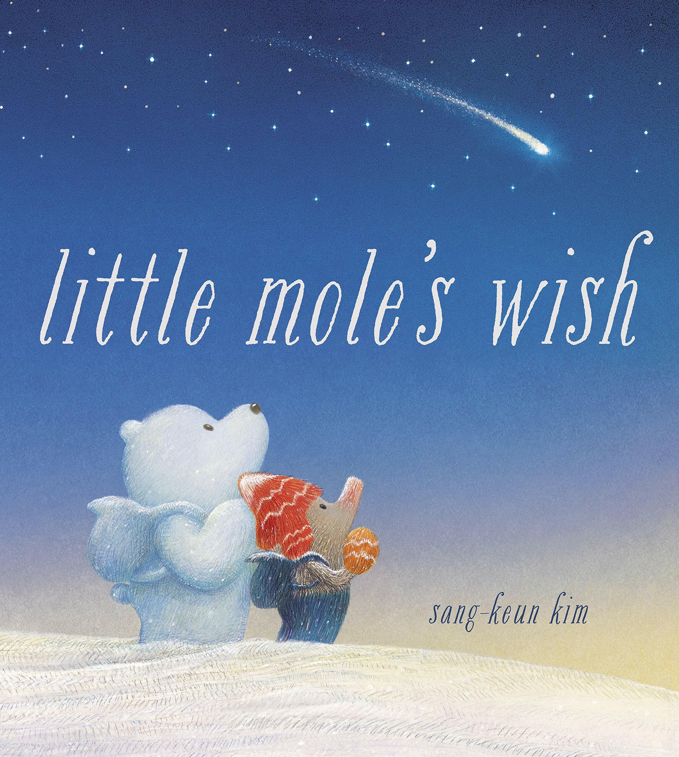 Little Moles Wish (Paperback)