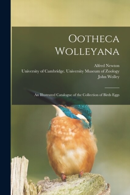 Ootheca Wolleyana: An Illustrated Catalogue of the Collection of Birds Eggs (Paperback)