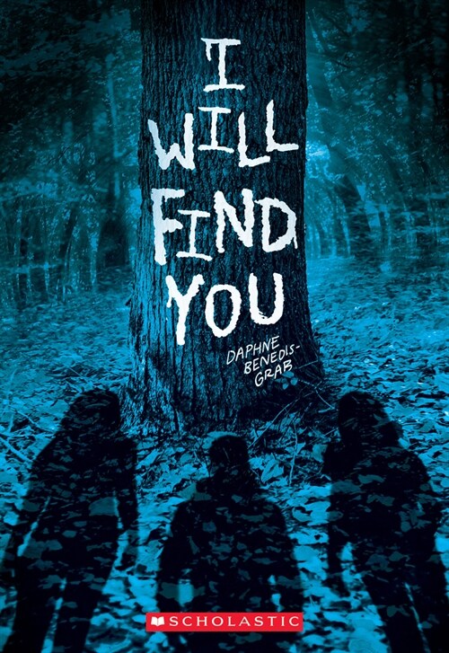 I Will Find You (a Secrets & Lies Novel) (Paperback)