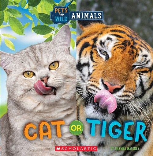 Cat or Tiger (Wild World: Pets and Wild Animals) (Hardcover)