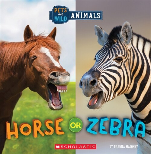 Horse or Zebra (Wild World: Pets and Wild Animals) (Hardcover)