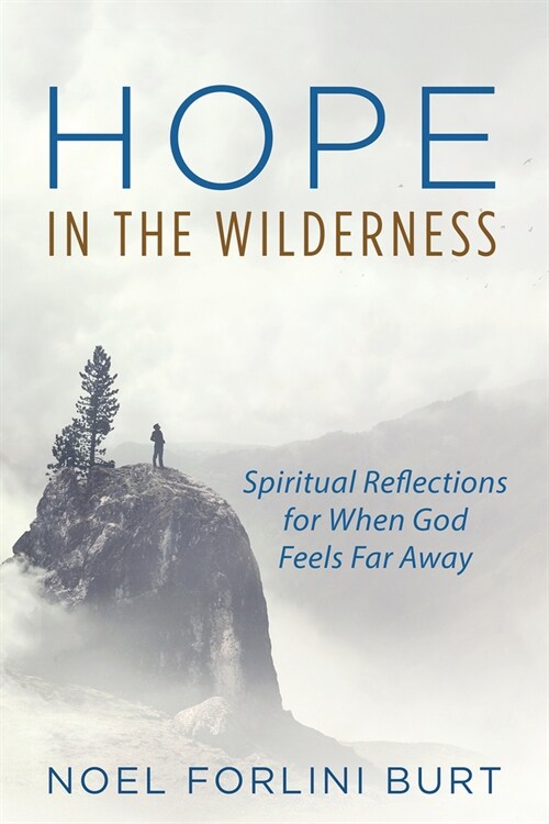 Hope in the Wilderness (Paperback)
