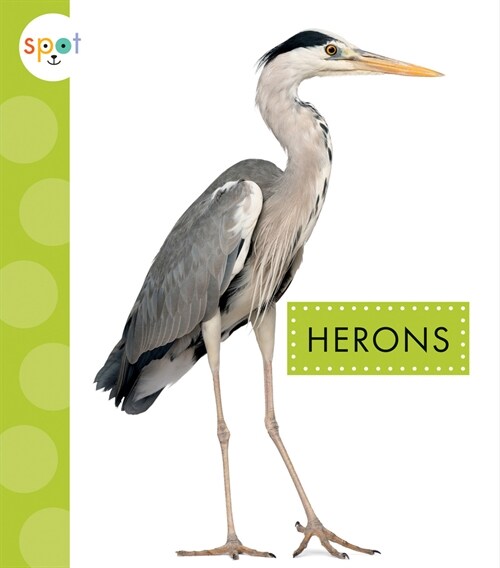 Herons (Library Binding)