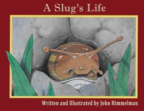 A Slugs Life (Paperback)