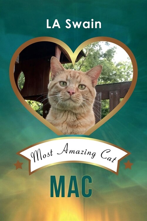 Mac: Most Amazing Cat (Paperback)
