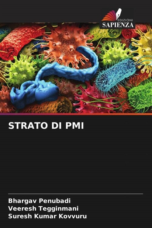 Strato Di PMI (Paperback)