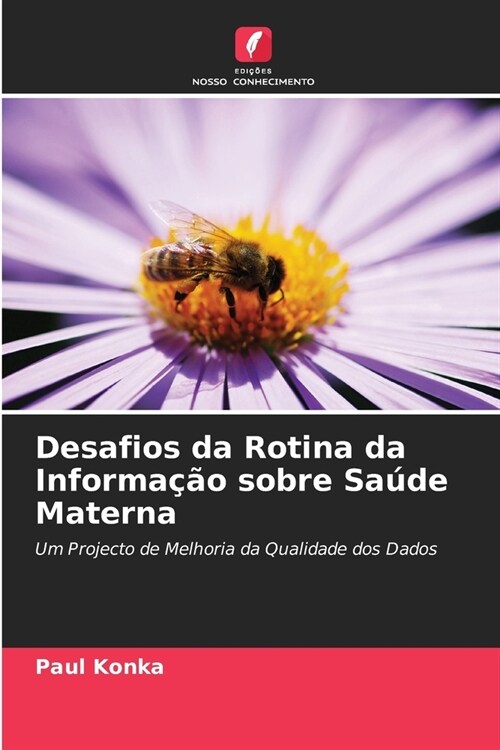 Desafios da Rotina da Informa豫o sobre Sa?e Materna (Paperback)