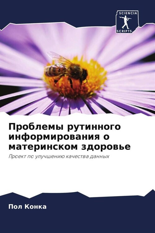 Проблемы рутинного инфо& (Paperback)