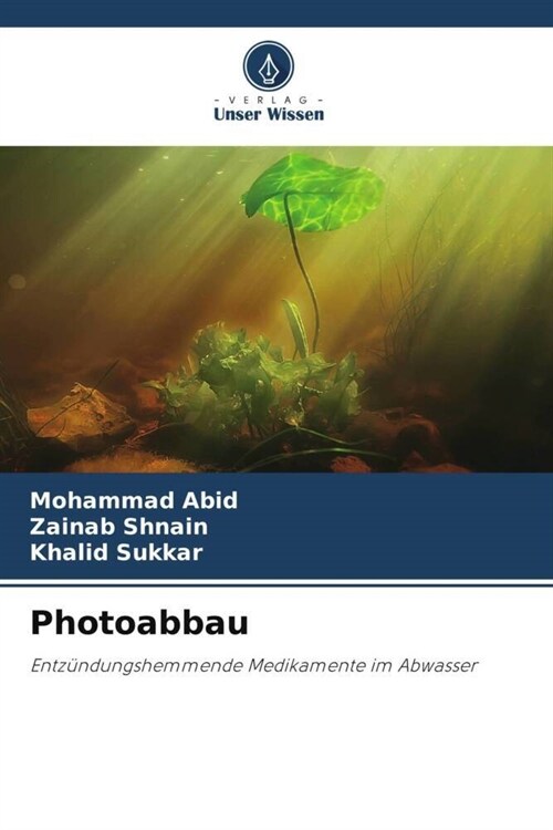 Photoabbau (Paperback)