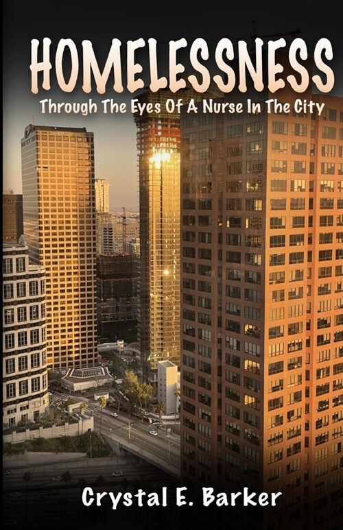 Homelessness Through The Eyes Of A Nurse In The City (Paperback)