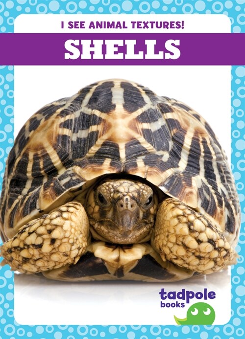 Shells (Paperback)