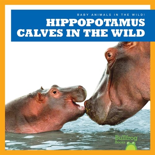 Hippopotamus Calves in the Wild (Paperback)