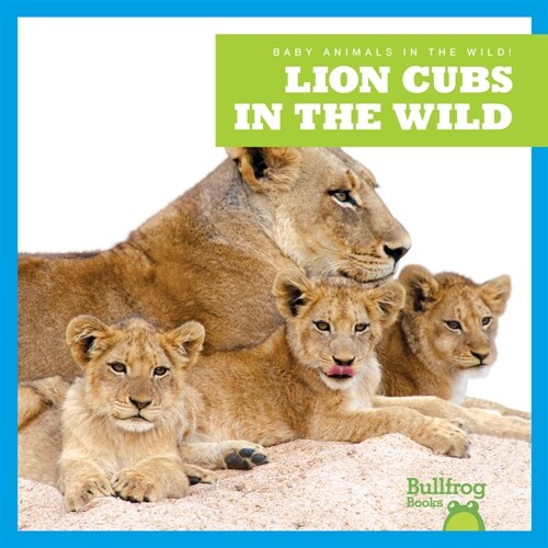 Lion Cubs in the Wild (Paperback)