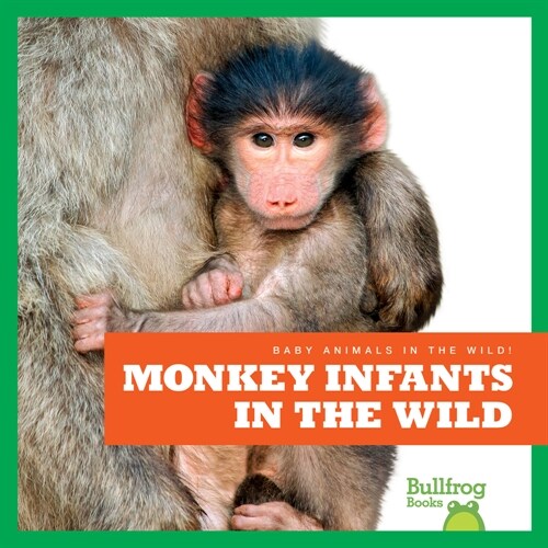 Monkey Infants in the Wild (Library Binding)