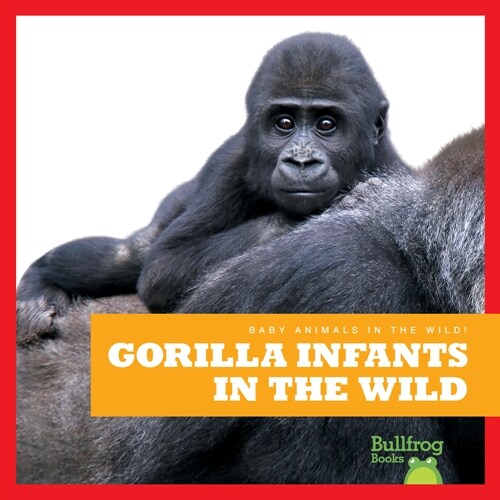 Gorilla Infants in the Wild (Paperback)