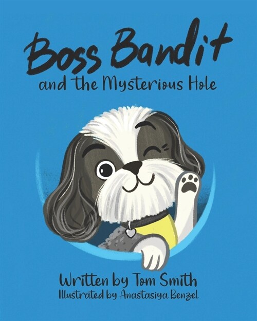 Boss Bandit and the Mysterious Hole (Paperback)