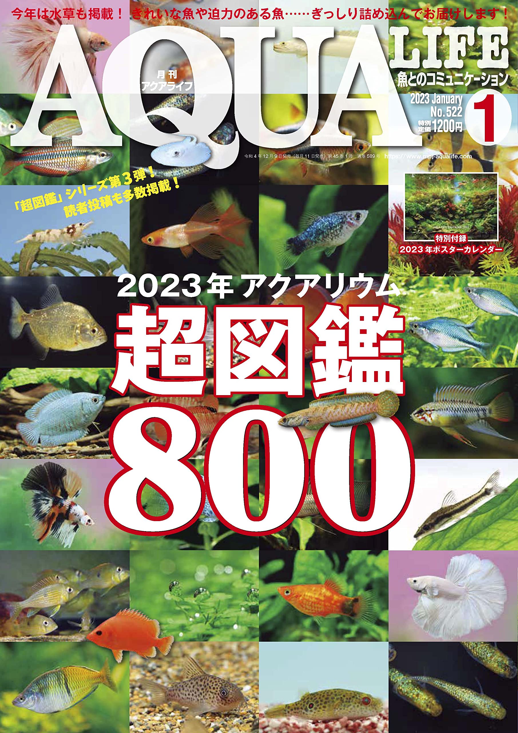 AQUA LIFE 2023年 1月號