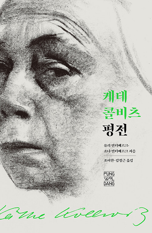 [중고] 케테 콜비츠 평전